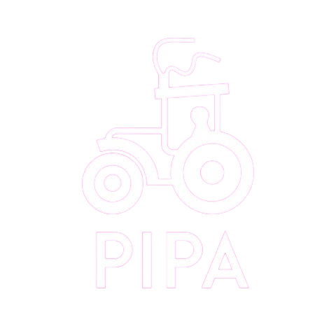 Pipa